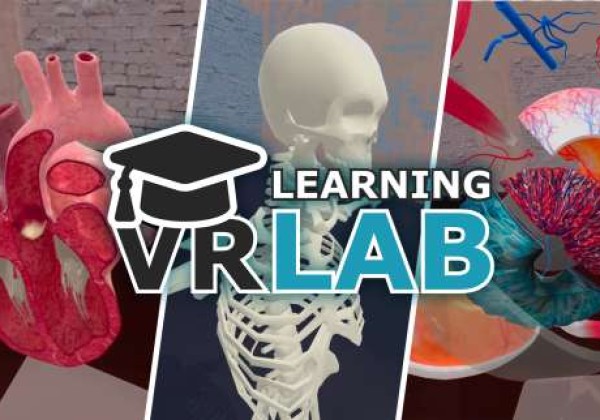 Oculus Quest 游戏《解剖实验室》VR Anatomy Lab